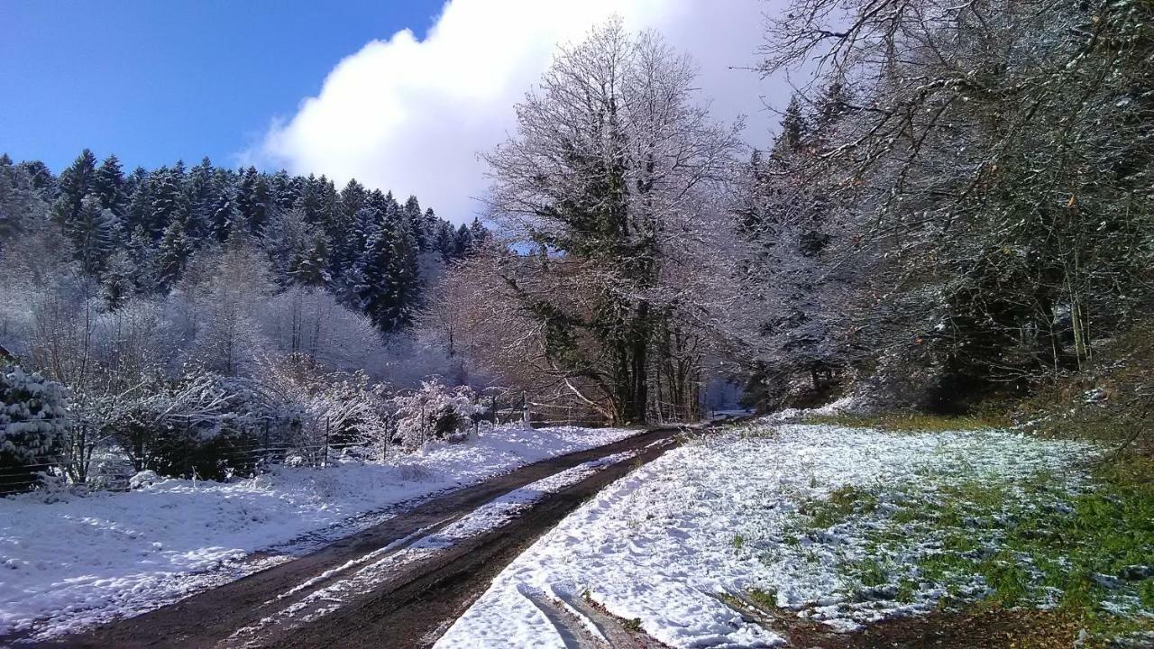Le Reposion Villa Saint-Amé Dış mekan fotoğraf